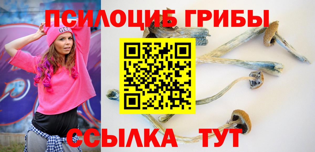 Галлюциногенные грибы MAGIC MUSHROOMS  Вход с VPN  Нововоронеж 